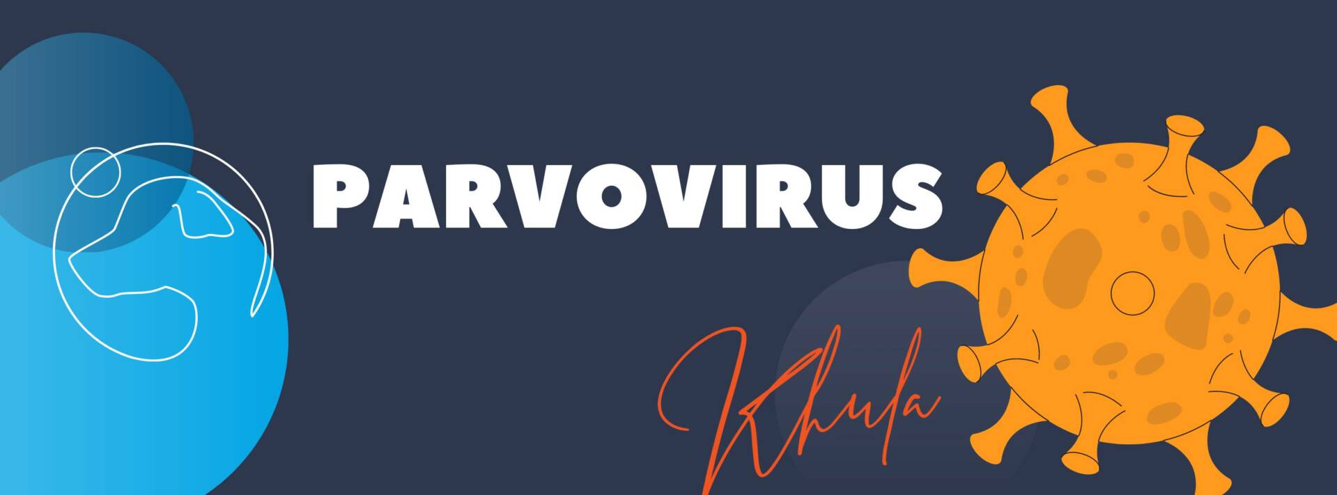 MODULE 10: Parvovirus