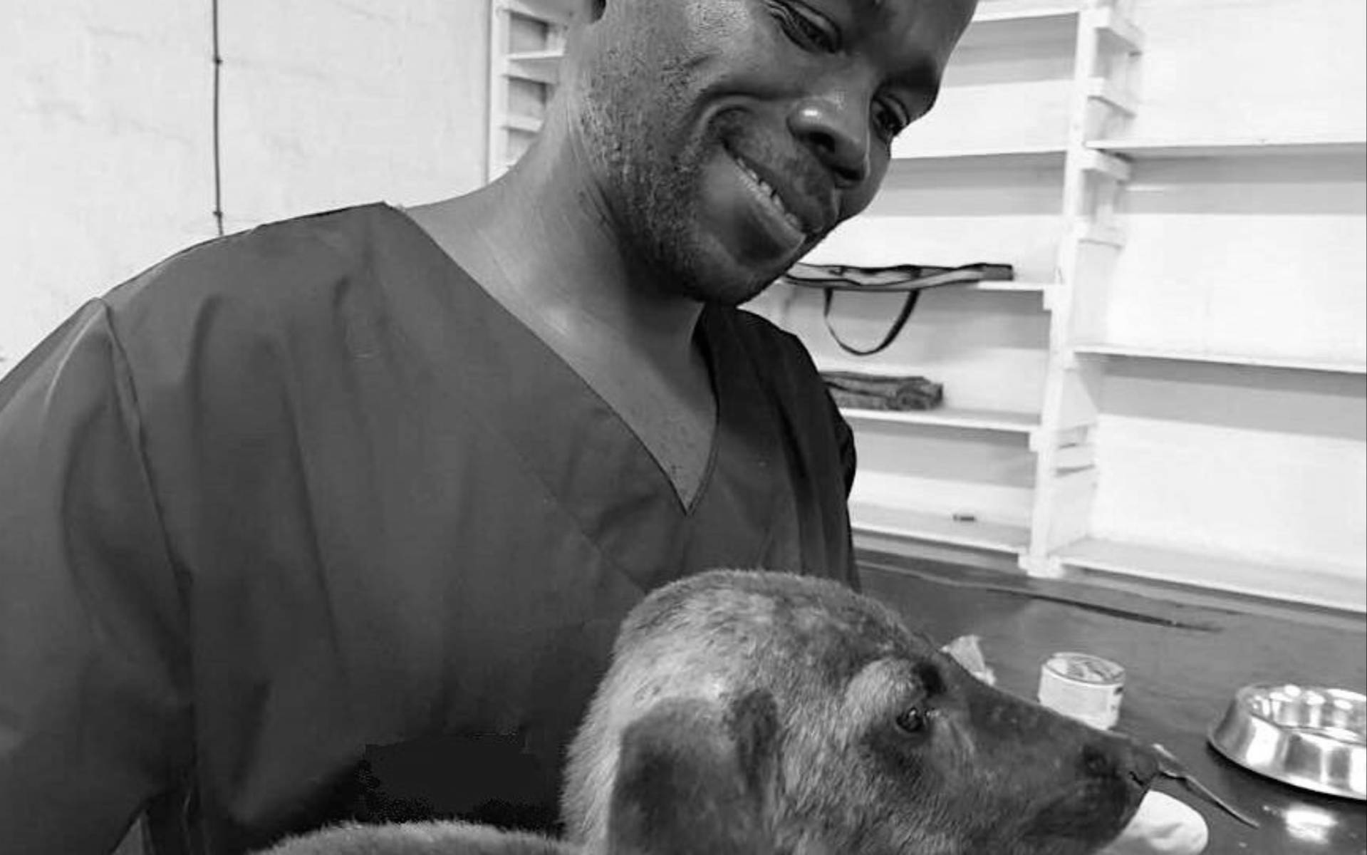 https://khulavet.co.za/wp-content/uploads/2025/09/Animal-Health-Technician.jpg